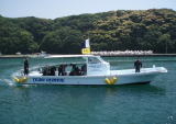 P42900511